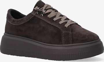 VENEZIA Sneaker low 'Venezia' in Braun: Vorderseite