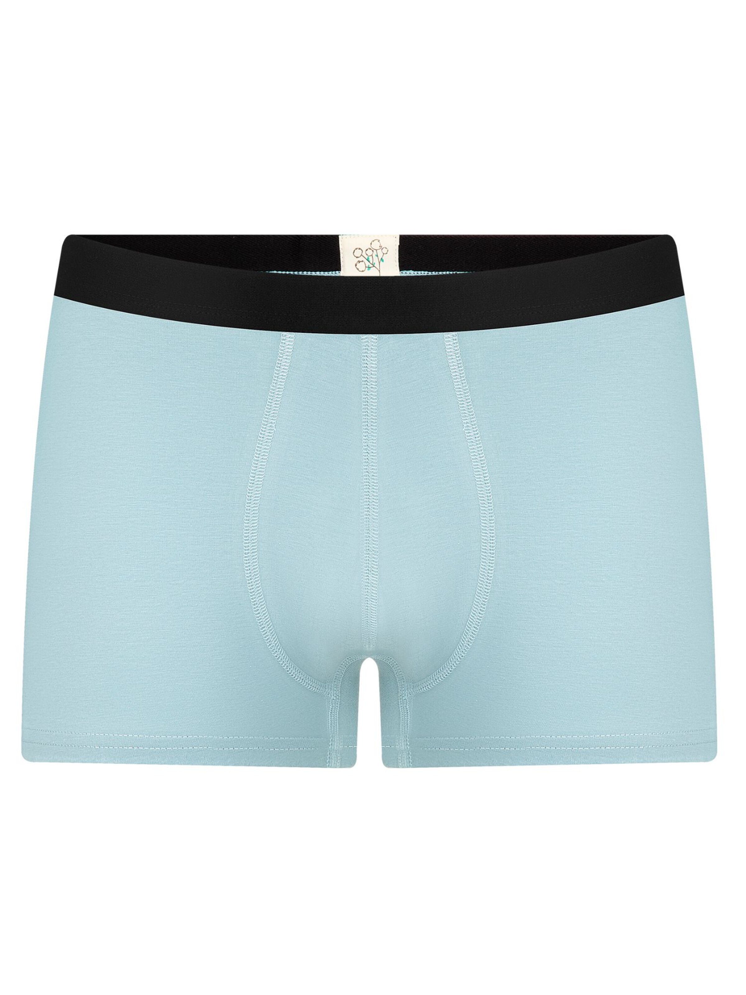 Albero Natur Boxershorts 'Herren Trunkshorts aus Bio-Baumwolle'‌‌ in Blau: Vorderseite