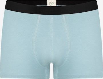 Albero Natur Boxershorts 'Herren Trunkshorts aus Bio-Baumwolle' in Blau: Vorderseite