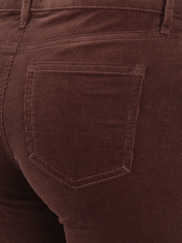 Regular Jeans de la ESPRIT pe maro