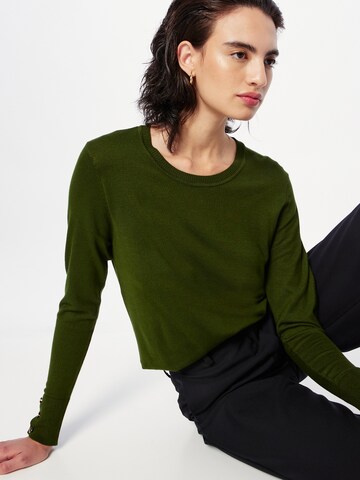 Dorothy Perkins Sweater in Green