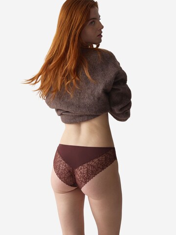 TRIUMPH Slip ' Red Label Pretty Modal ' in Brown