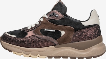 Baskets basses 'Treni 02' Floris van Bommel en bronze : devant