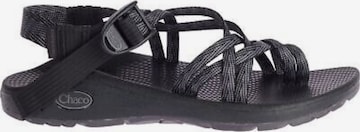 Chaco Sandaalit 'WOMENS ZX/2 DUAL' värissä musta: etupuoli