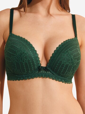 Push-up Reggiseno 'Panama' di ETAM in verde