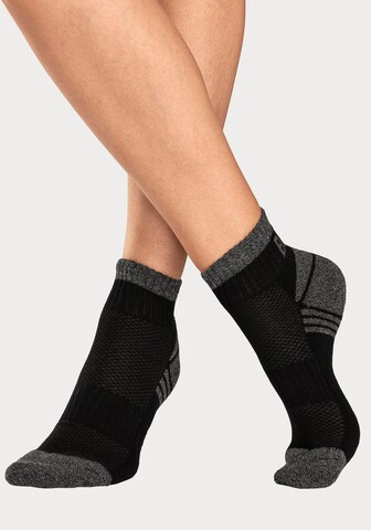 BENCH Athletic Socks in Beige
