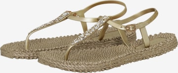 ILSE JACOBSEN Teenslipper in Beige: voorkant