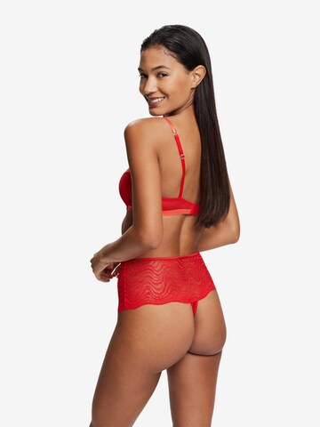 ESPRIT Thong in Red