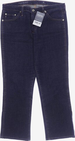 Adriano Goldschmied Jeans in 28 in Blue: front