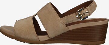 Sandales GEOX en beige