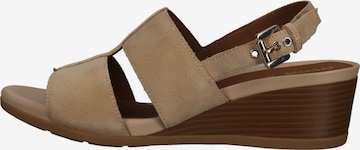 GEOX Sandals in Beige