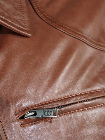 JCC Tussenjas in Bruin