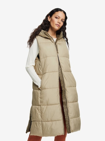 ESPRIT Bodywarmer in Beige: voorkant