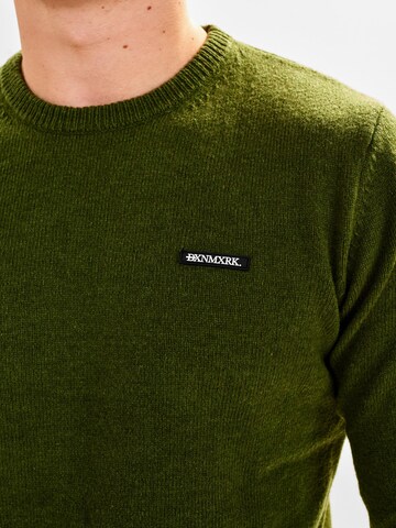 Dxnmxrk Pullover 'DXBjarne' in Grün