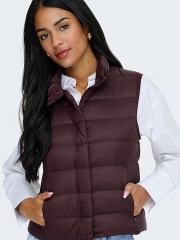 ONLY - Chaleco 'ONLRUBY' en marrón