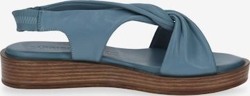 CAPRICE Sandalen met riem in Blauw