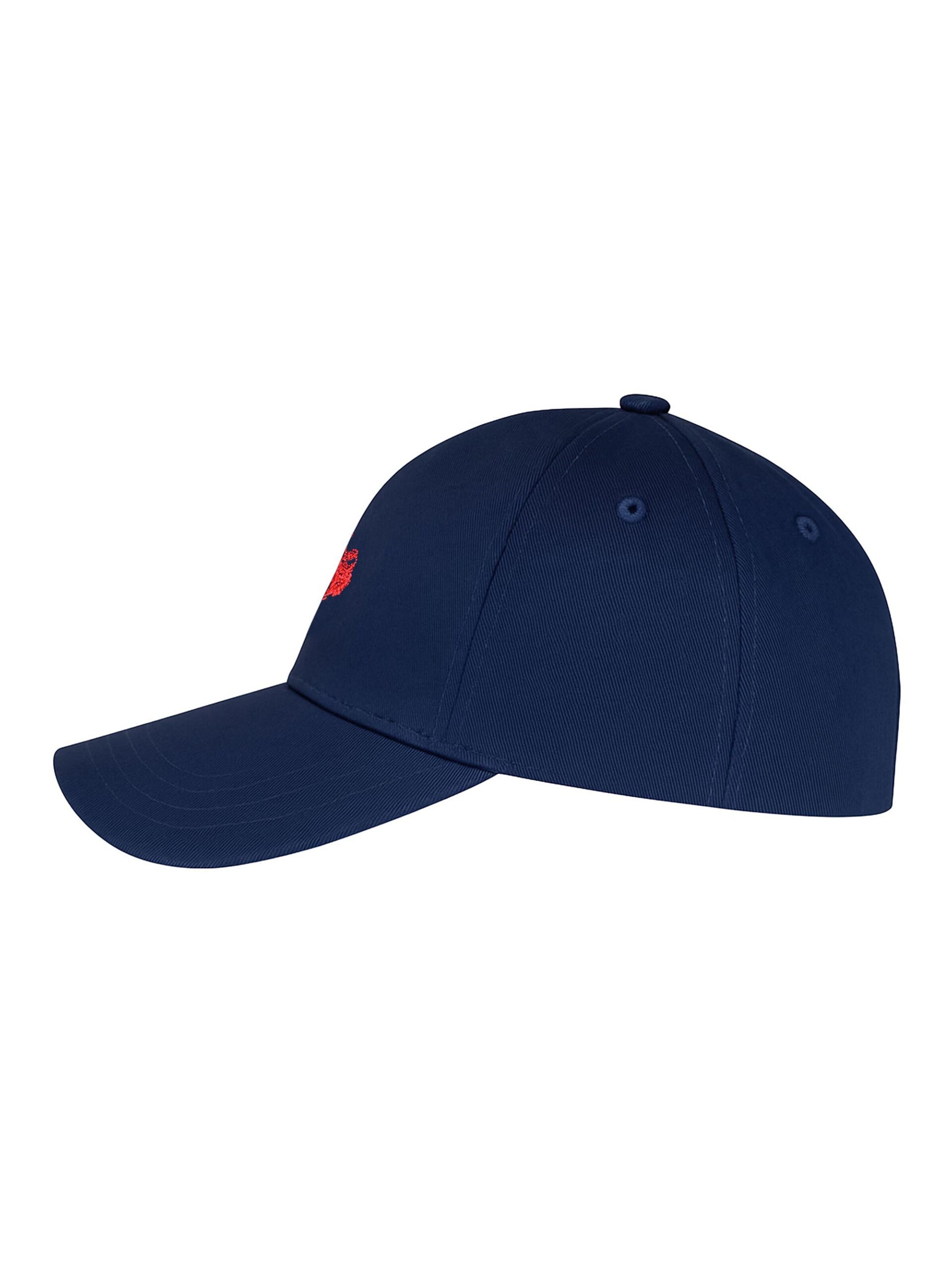 U.S. POLO ASSN. Cap in Blue