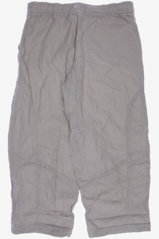 ABSOLUT by ZEBRA Pants in XL in Grey