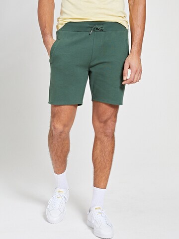 regular Pantaloni 'Mavis' di Shiwi in verde: frontale