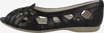 JOSEF SEIBEL Ballet Flats 'Fiona' in Black