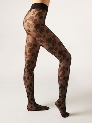 CALZEDONIA Tights in Black