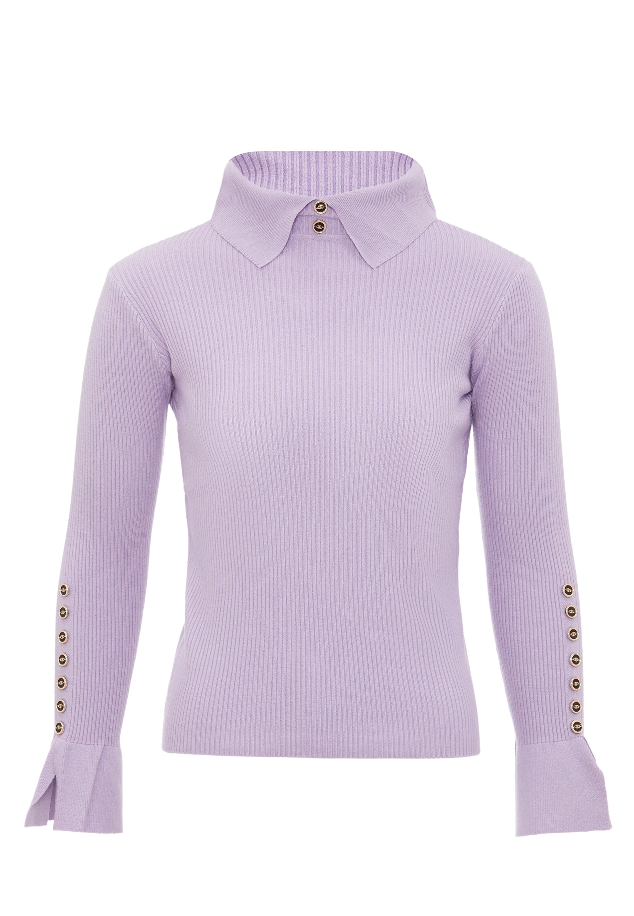 leo selection Sweater in Purple: front