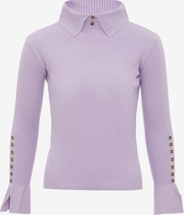 leo selection Sweater in Purple: front