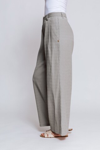 Zhrill Regular Pleat-Front Pants in Grey