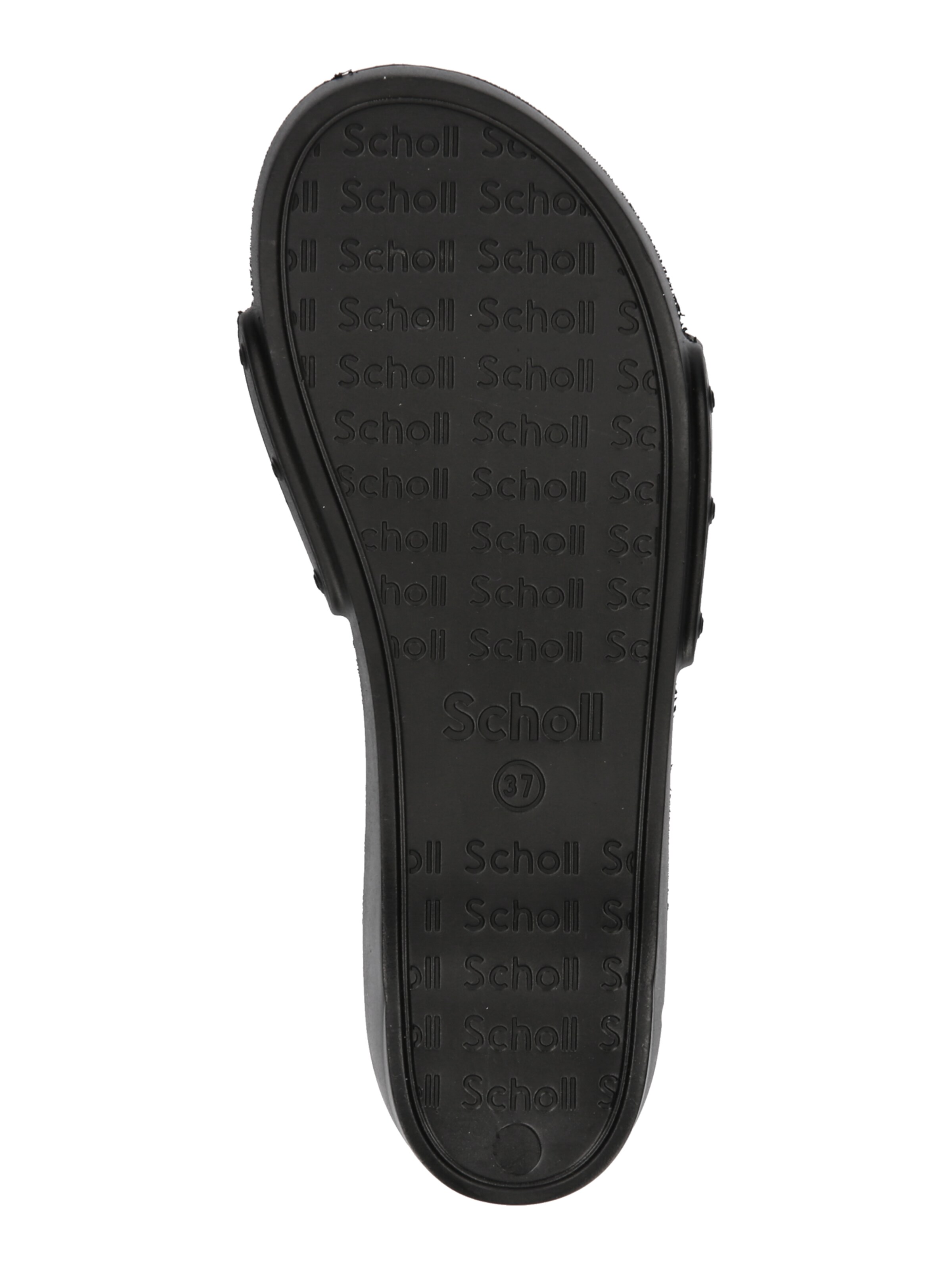 juoda Scholl Iconic Šlepetės 'PESCURA LEA'