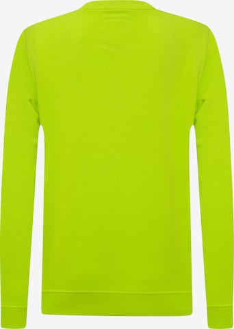 DENIM CULTURE Sweatshirt 'Wendy' in Green