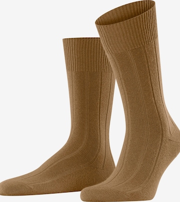FALKE Socken 'Lhasa Rib' in Braun: Vorderseite