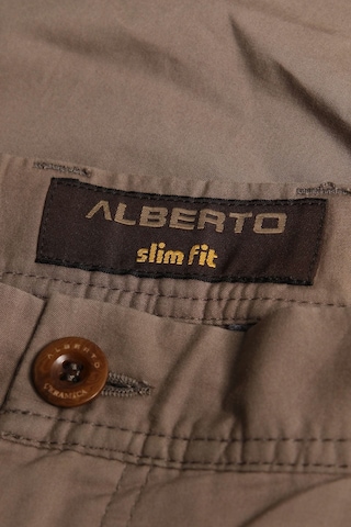 Alberto Pants in 34 x 34 in Brown