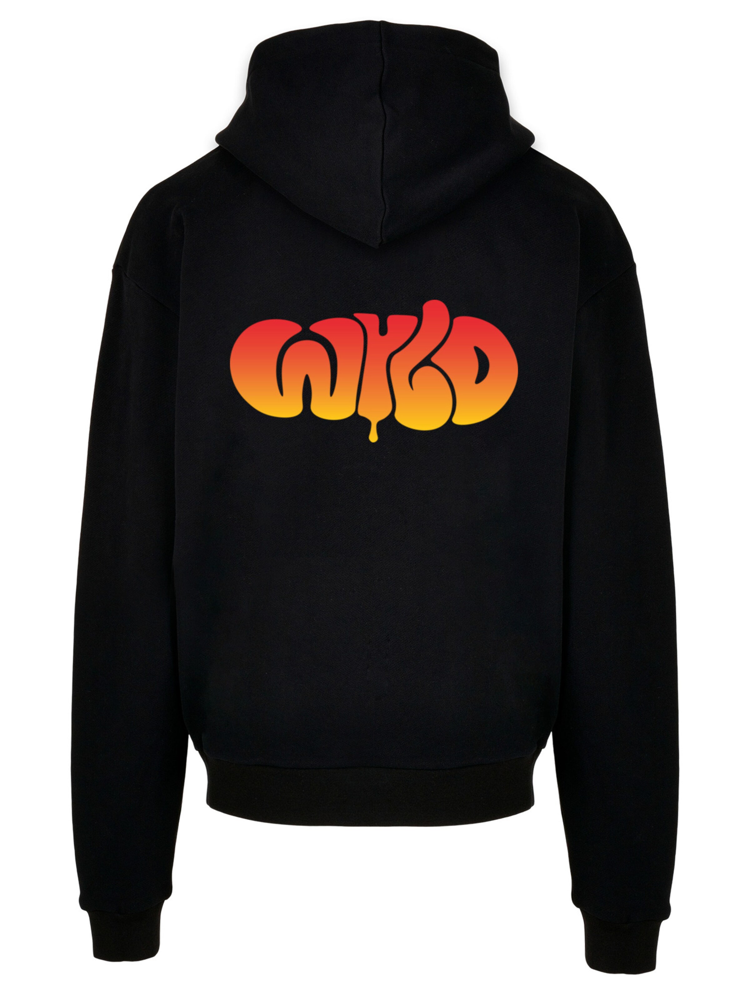 F4NT4STIC Sweatshirt in Black