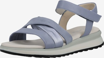 GABOR Sandal in Blue: front