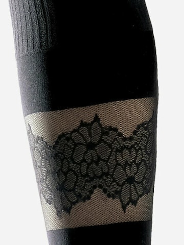 Lycille Knee High Socks in Black
