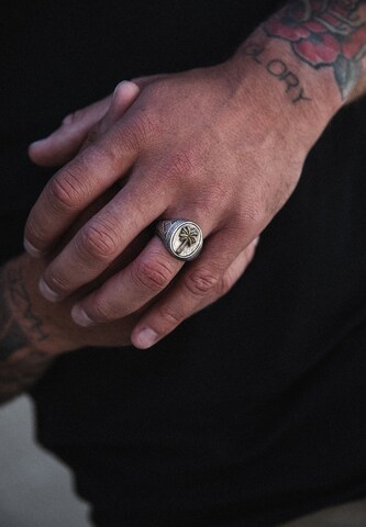 Haze&Glory Ring 'Palmlover' in Silver