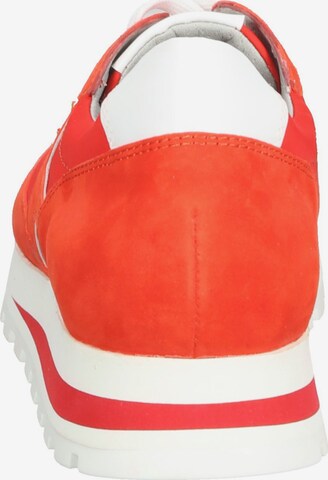 PETER KAISER Sneakers in Red