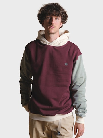 Trendsplant Sweatshirt in Rood: voorkant