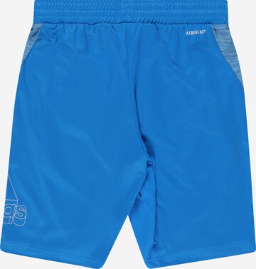 Regular Pantaloni sport de la ADIDAS SPORTSWEAR pe albastru