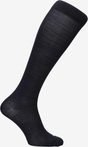 Merino Love Socks 'The Long Kniekousen' in Blue: front