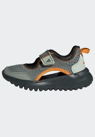 ADIDAS SPORTSWEAR Sandals & Slippers in Grey: front