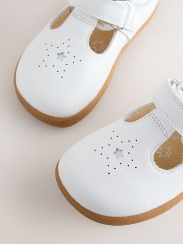 Next Ballerina's in Wit