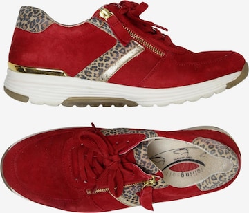 GABOR Sneaker 38 in Rot: Vorderseite