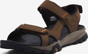 TIMBERLAND Sandals in Brown: front