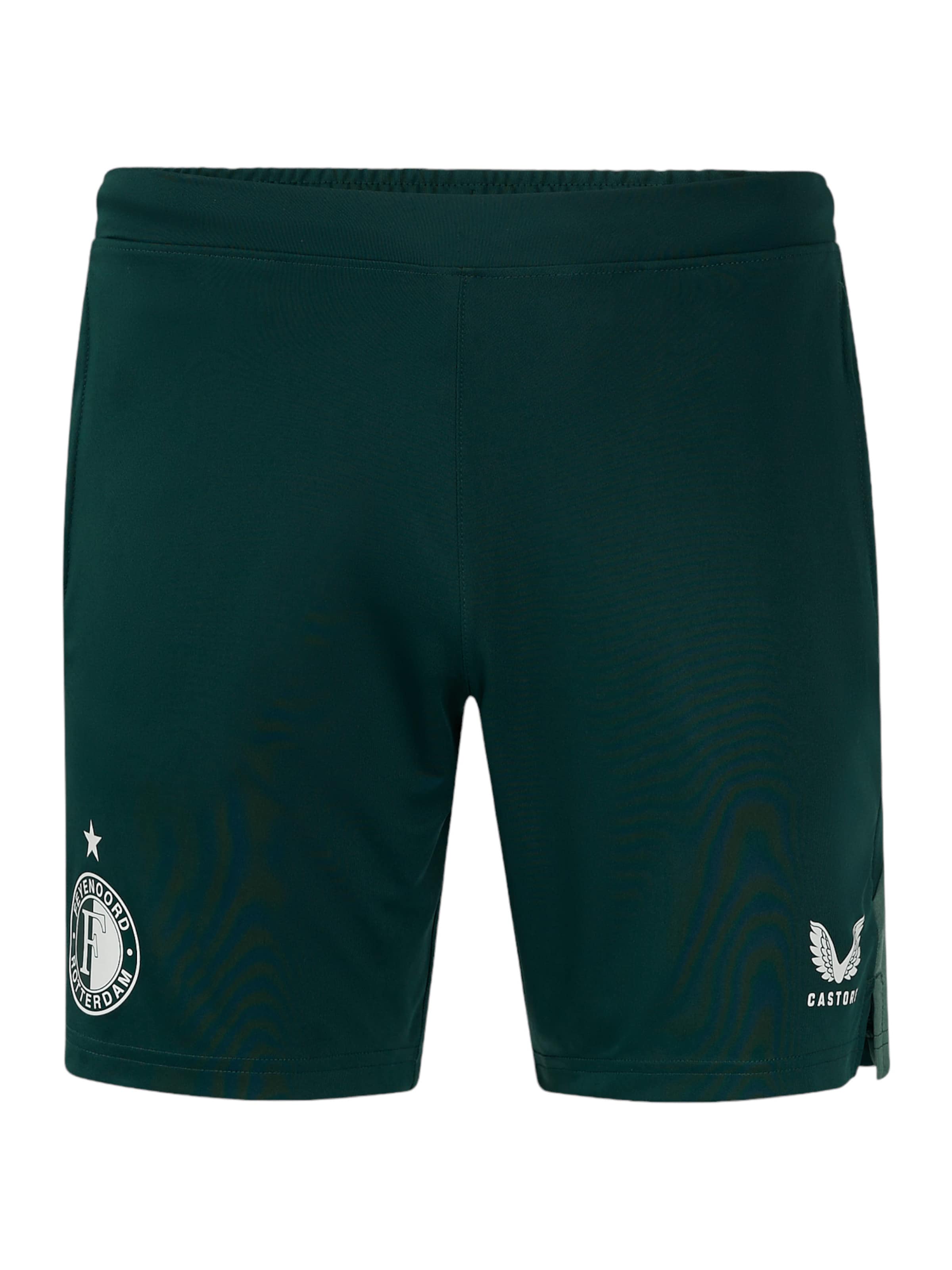 Castor Regular Workout Pants in Green: front