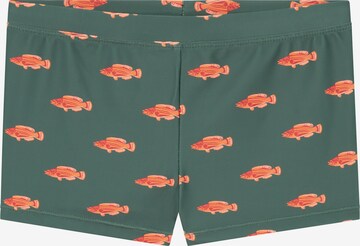 Shorts de bain Shiwi en vert : devant