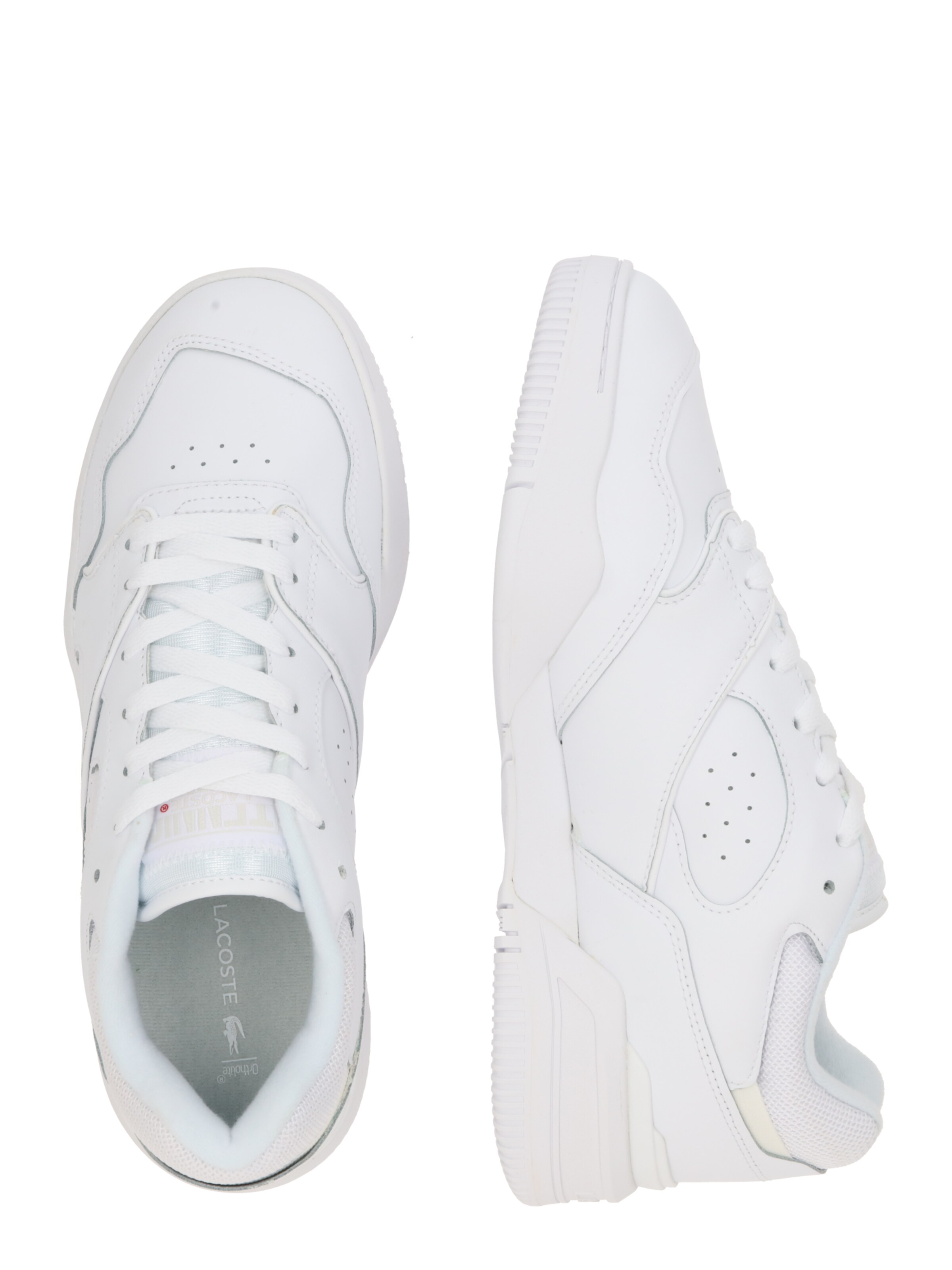 Sneaker bassa di LACOSTE in bianco