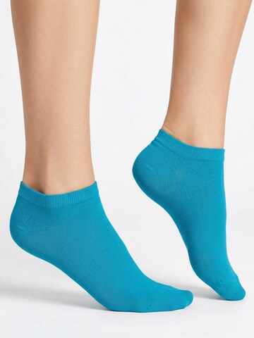 footstar Ankle Socks 'EVERYDAY!' in Blue