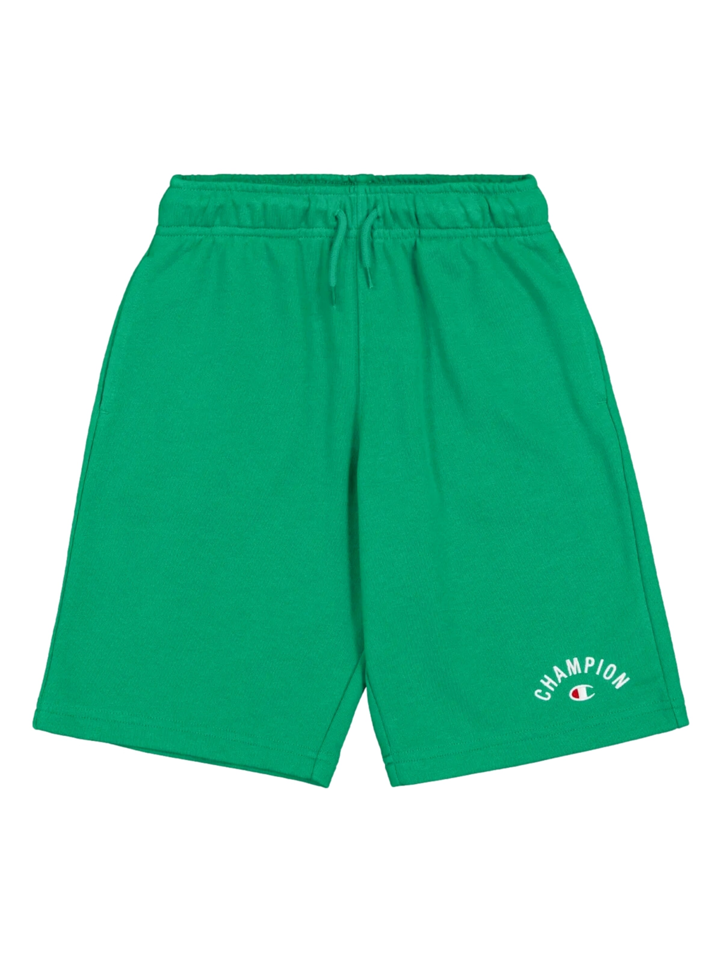 Regular Pantalon de sport Champion Authentic Athletic Apparel en vert : devant