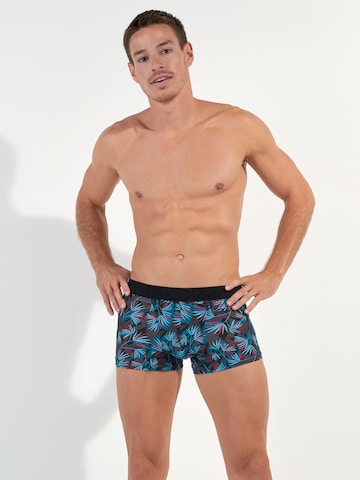 HOM Retro Boxer ' Hanoi HO1 ' in Grau: Vorderseite